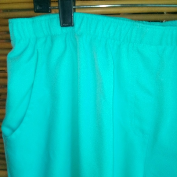 Allison Daley 18 Pull-On Turquoise Stretch Capri Pants - Picture 3 of 5